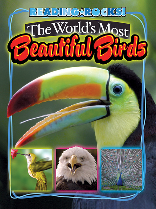 Title details for The World's Most Beautiful Birds by Annie Buckley - Available